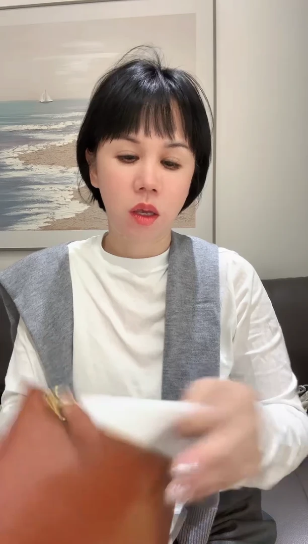 三醋酯纤维壮壮家精品包包