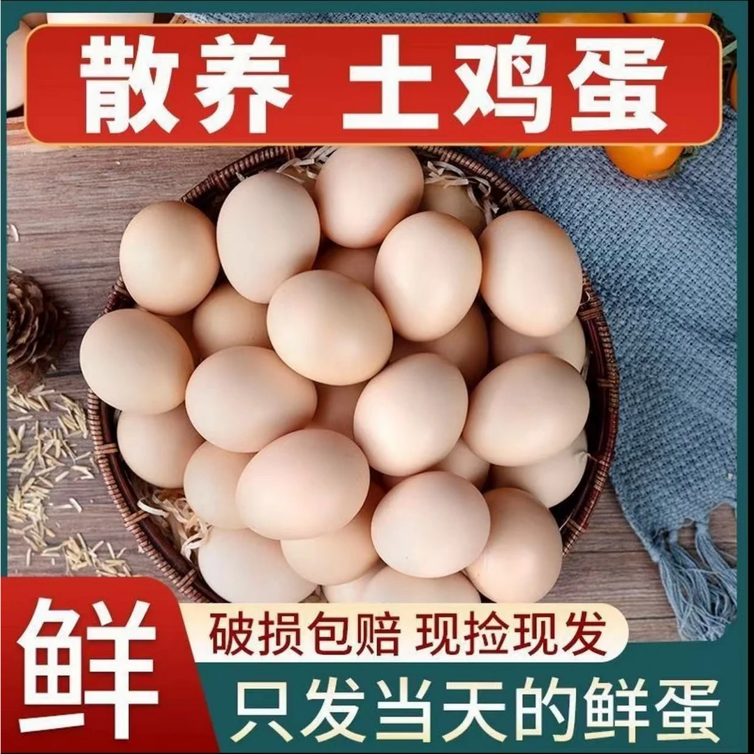 50枚新鲜土鸡蛋散养五谷喂养土鸡蛋现捡现发