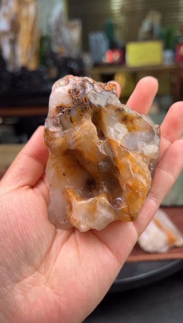 【闪购商品】硅化玉（树化玉）珠宝奇石未镶嵌1018