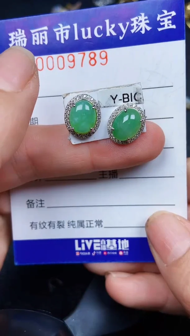 翡翠银S925镶嵌颈饰9789