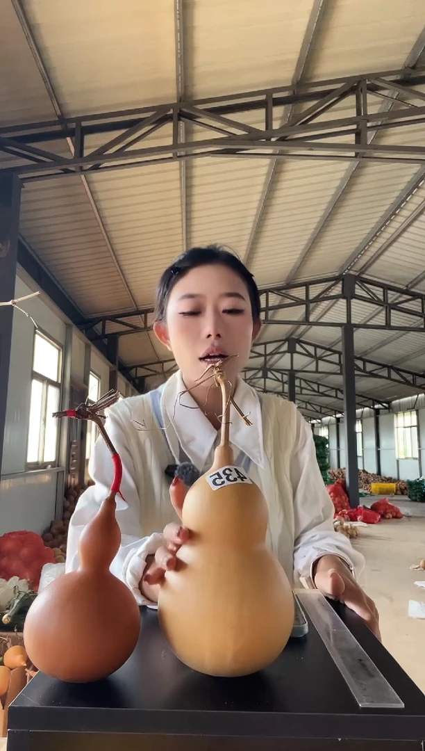 435天然葫芦摆件 一物一拍龙头不保售后