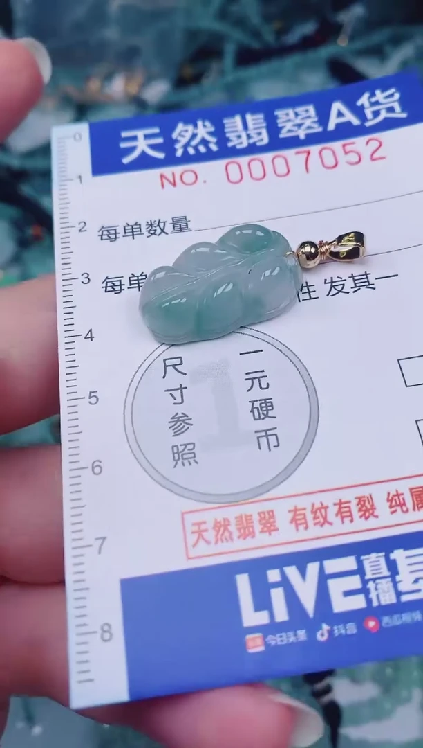 颈饰未镶嵌翡翠00007052