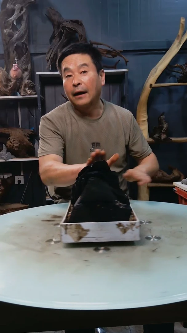 黑片9.5清香阁清香阁清香阁