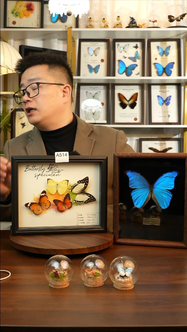 四色蝴蝶组合（10寸欧式黑框）A514