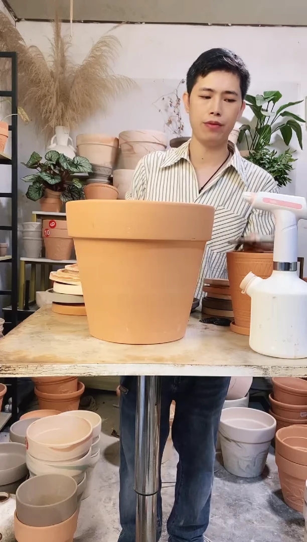 35*30红陶国际 1盆无托