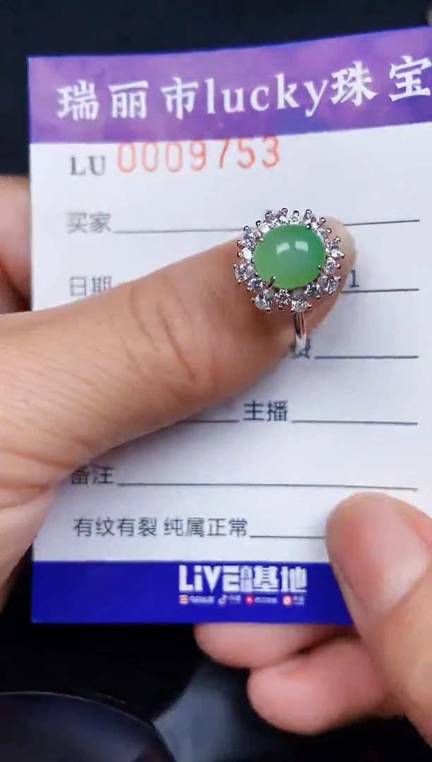 翡翠银S925镶嵌颈饰9753