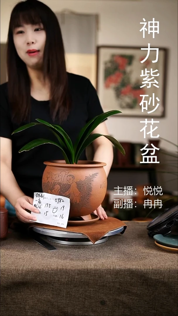 紫砂花盆紫砂花盆5982+z