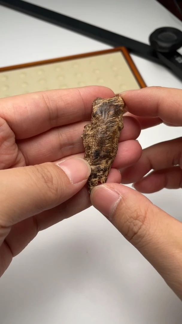 【闪购商品】沉香摆件沉水兰花结白棋3.5克