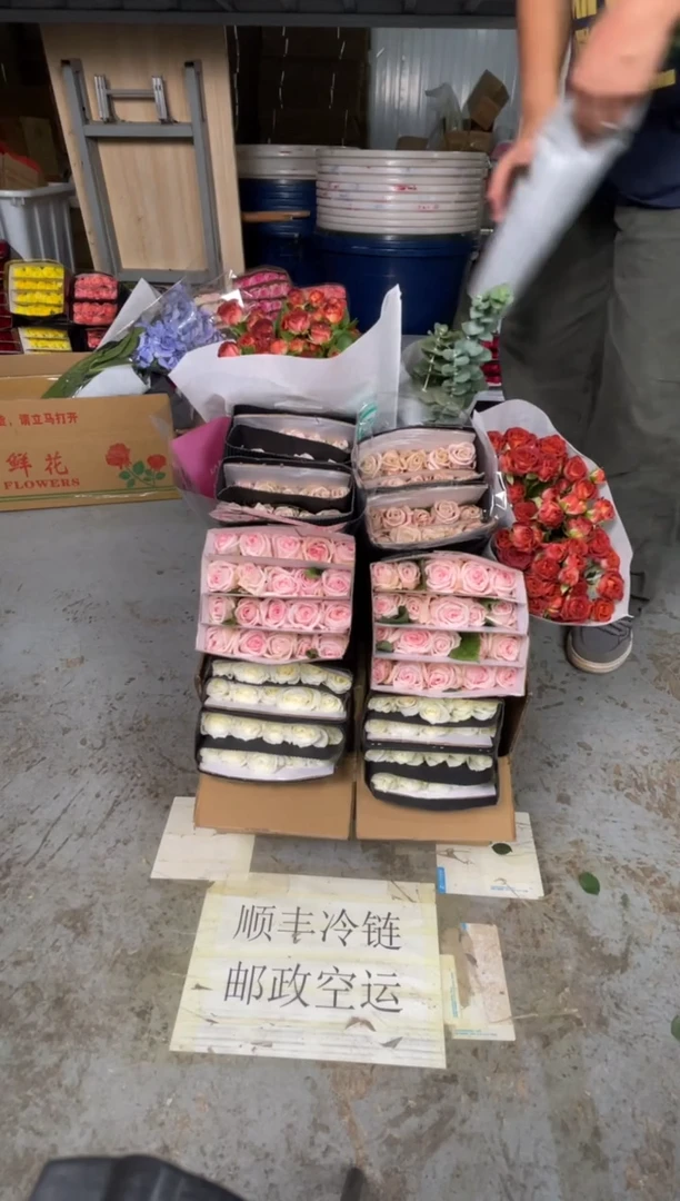 骄傲20枝+粉荔枝20枝+曼塔20枝+巧克力10枝+尤加利