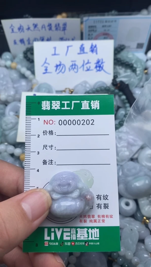 翡翠未镶嵌颈饰天然A货翡翠0202