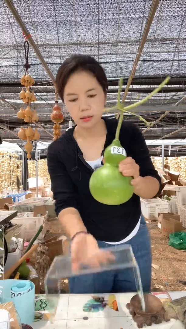 131天然葫芦摆件 一物一拍龙头不保售后微瑕疵