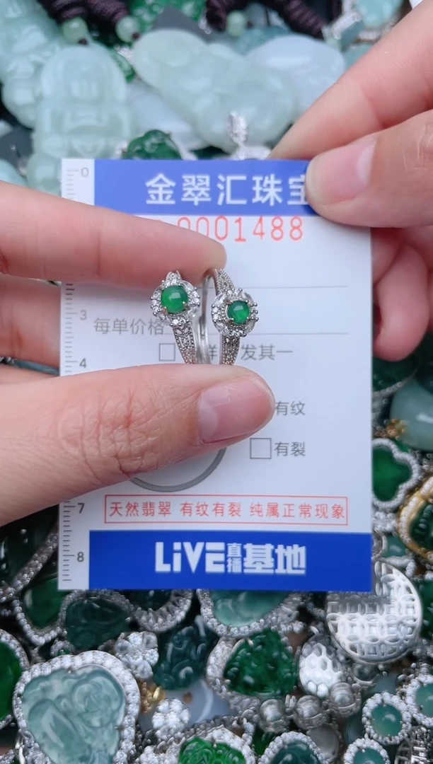 【闪购商品】翡翠颈饰未镶嵌1488..............