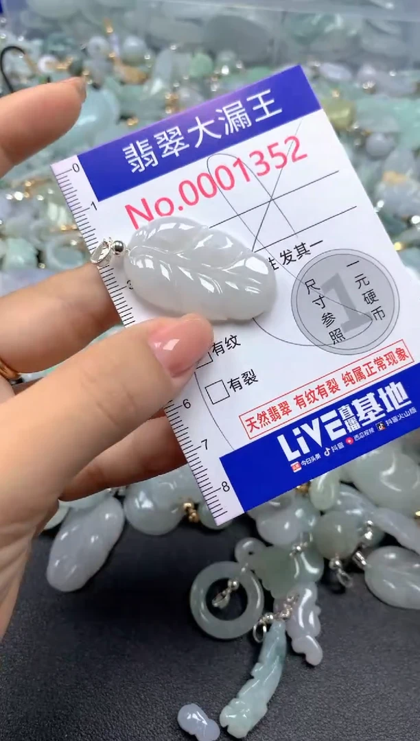 颈饰未镶嵌翡翠1352