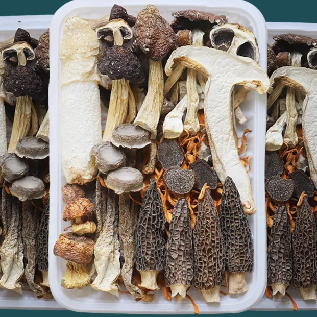 菌菇汤包干制食用菌煲汤炖鸡汤