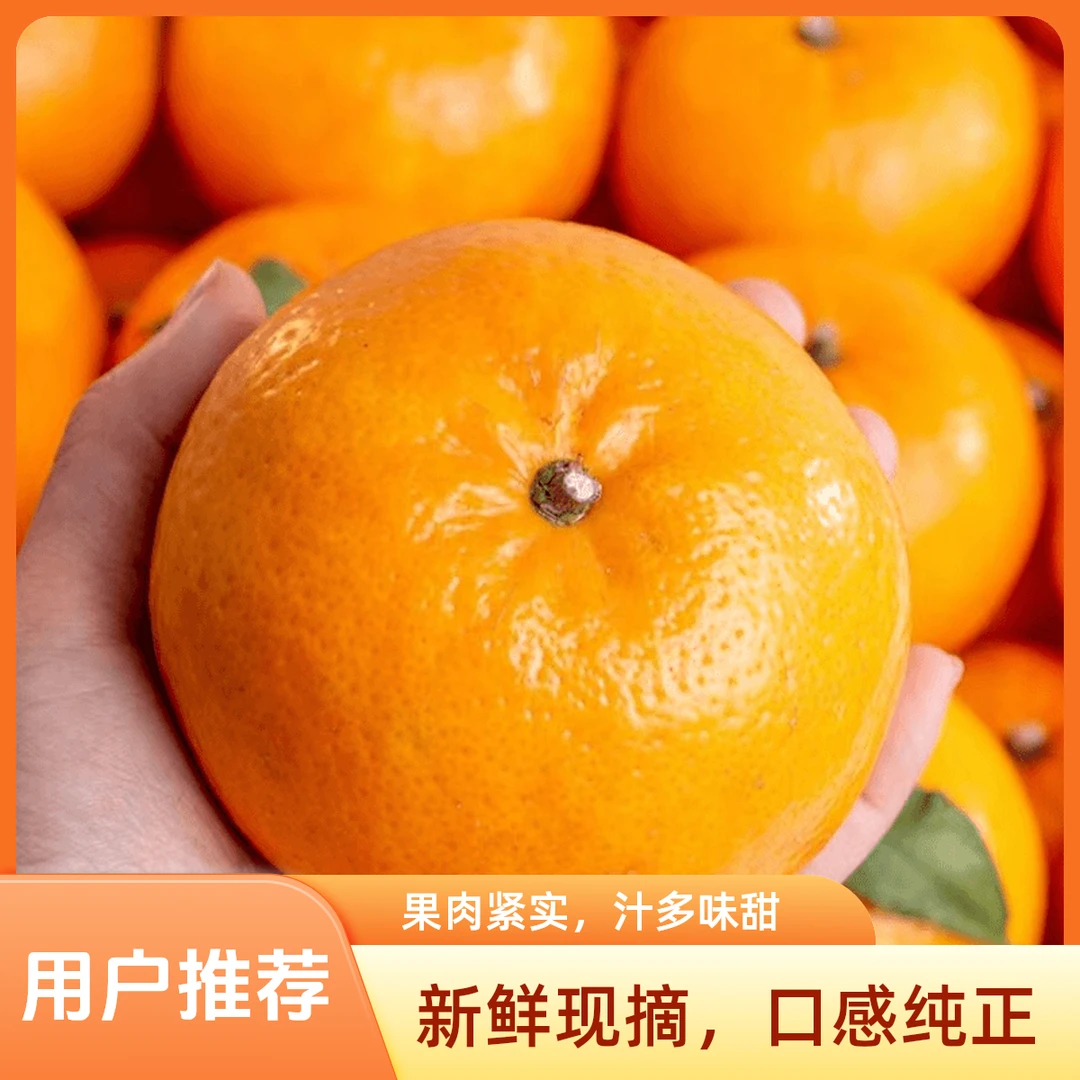 C广西正宗武鸣老树微花皮沃柑采摘应季水果孕妇水果10斤带箱