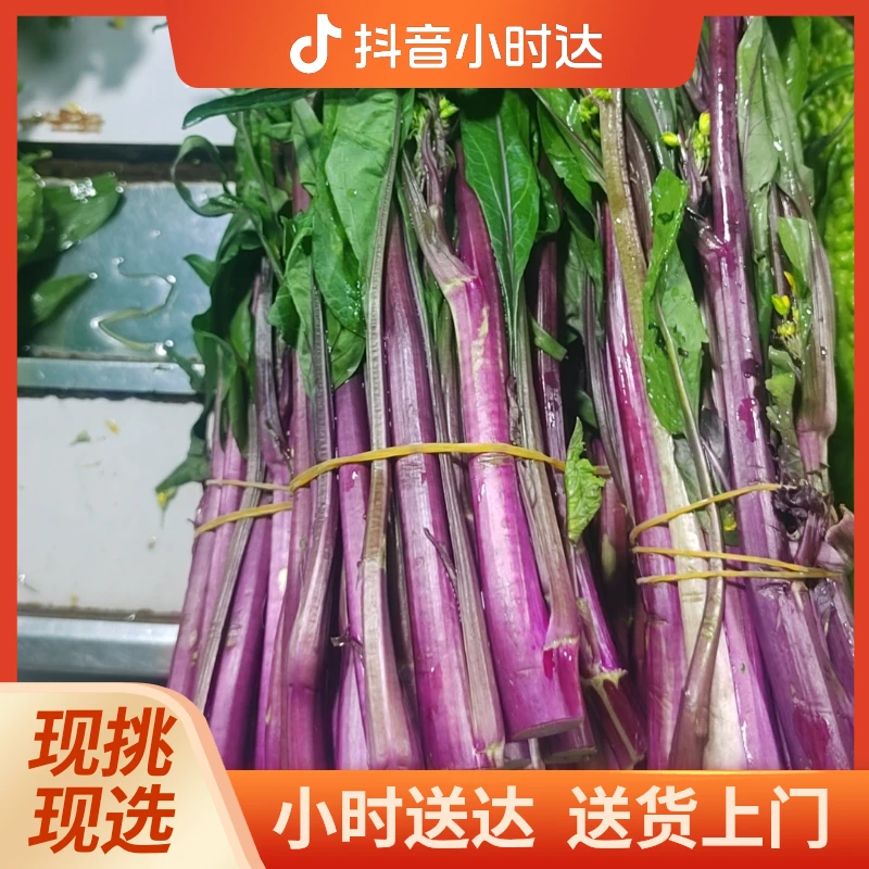 紫菜苔  500g