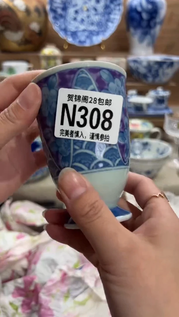 瓷片波**特     N308