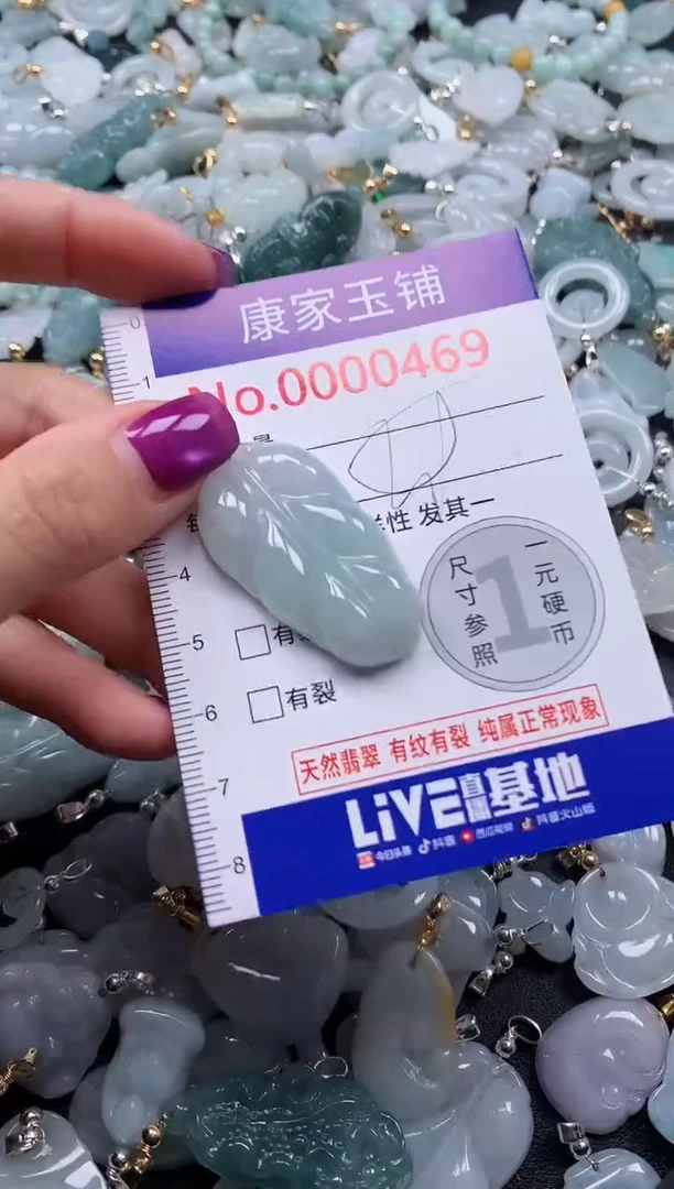 颈饰未镶嵌翡翠469