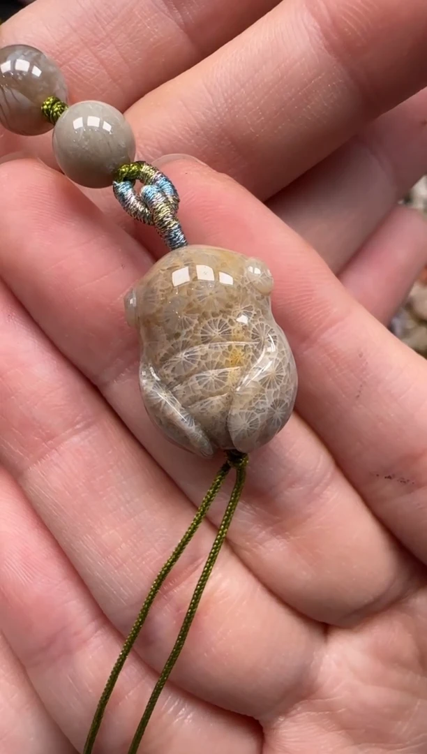 硅化珊瑚（珊瑚玉）未镶嵌颈饰141