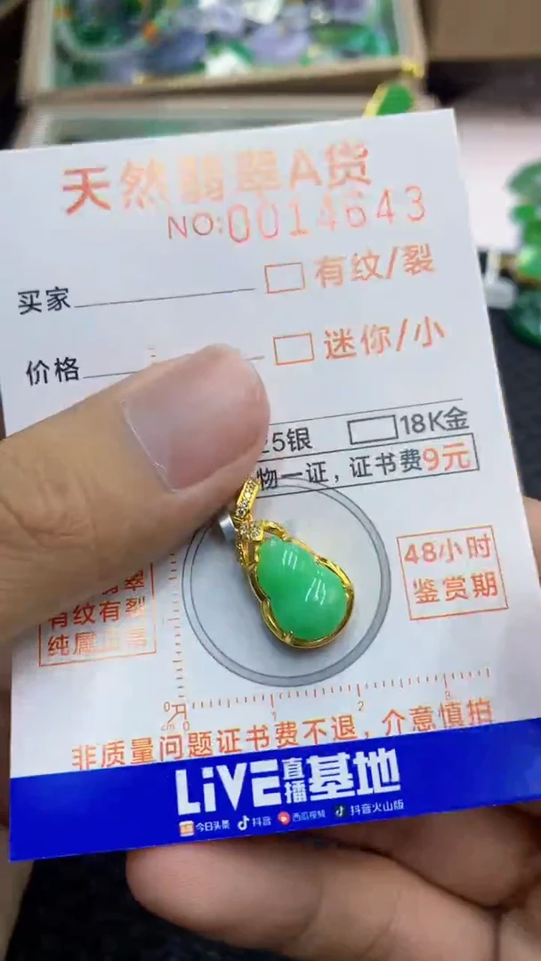 翡翠未镶嵌吊坠(不含链)1
