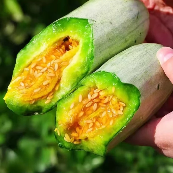 【满5包包邮】羊角蜜甜瓜种子薄皮香瓜种籽超甜水果四季种植
