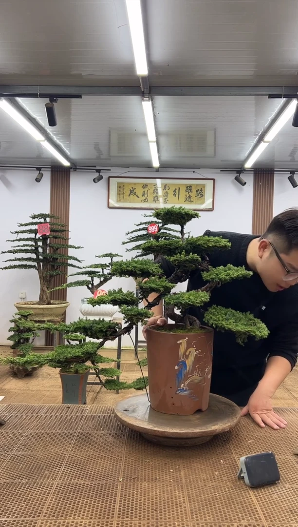 无花朵000000000000