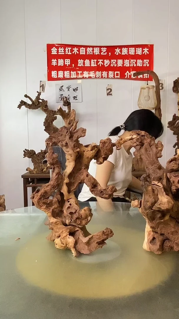 香榧木我*豆金丝红木 羊蹄甲2