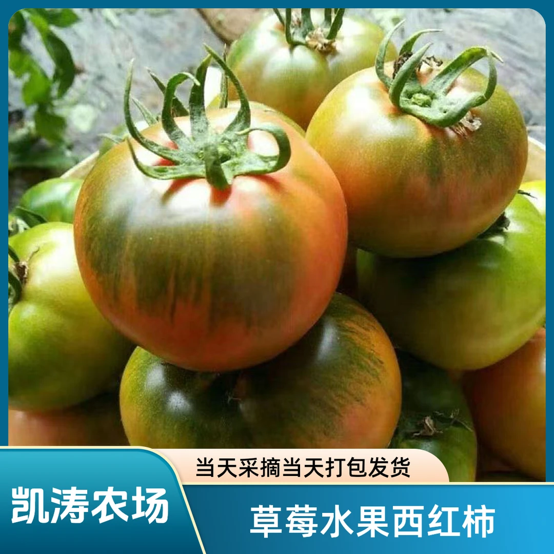 草莓水果西红柿酸酸甜甜现摘当天发货 京东顺丰草莓水果西红柿天津市天津市