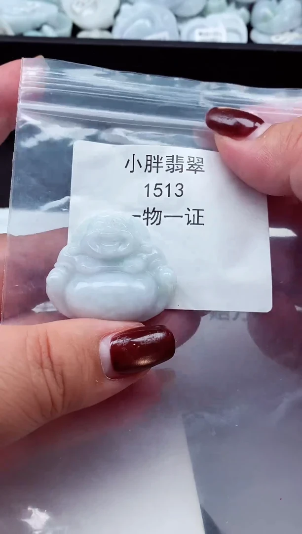 颈饰未镶嵌翡翠缅甸天然A货翡翠1513