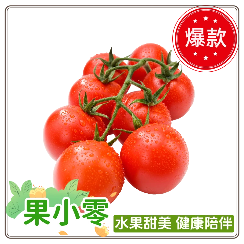 A级-千禧小番茄(中) 约400g番茄同城配千禧圣女果山东省