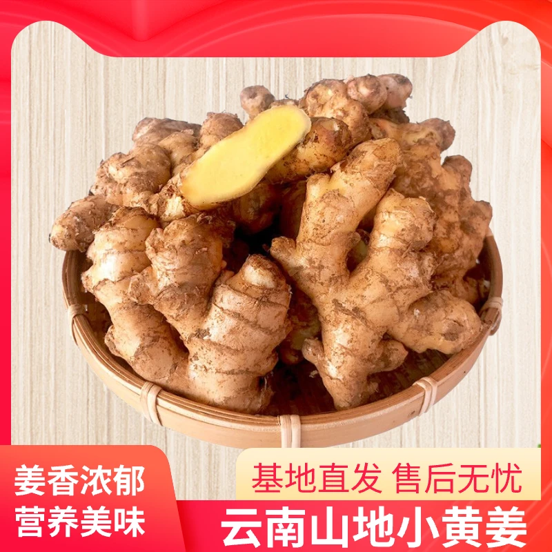 云南高山山地老姜母3斤5斤9斤装包邮到家