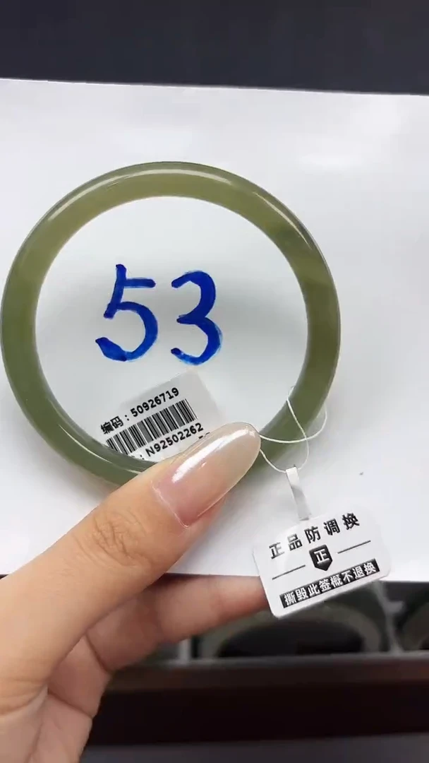 未镶嵌手镯和田玉6719