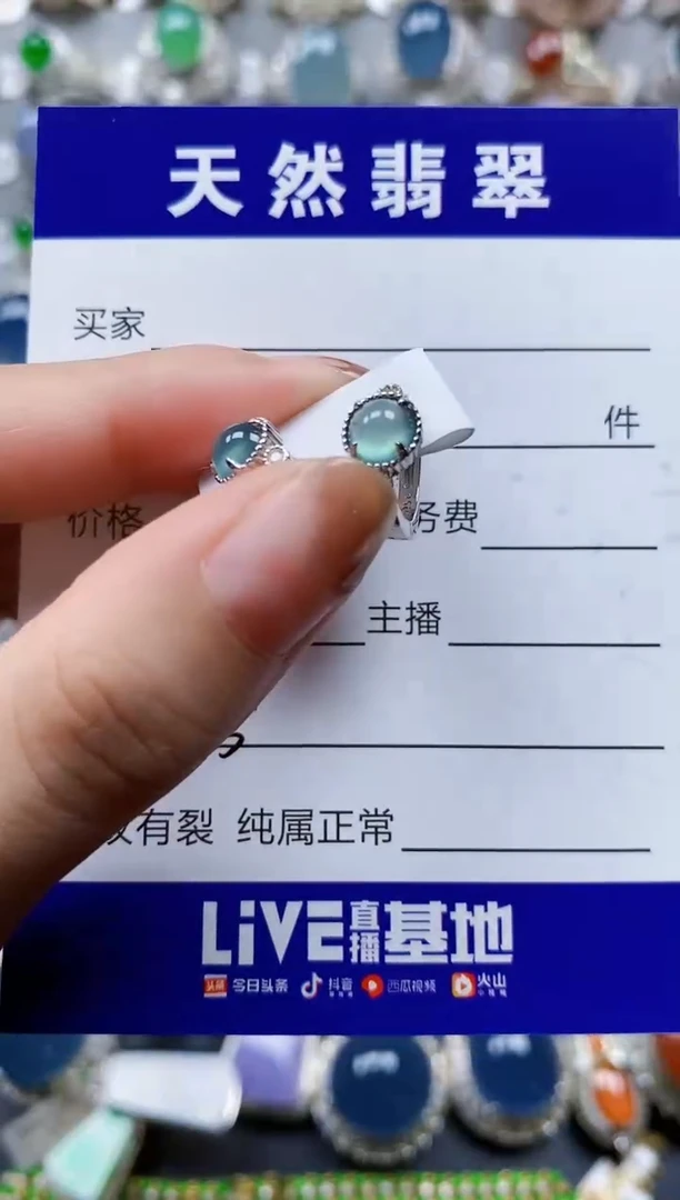 翡翠银S925镶嵌耳饰0075