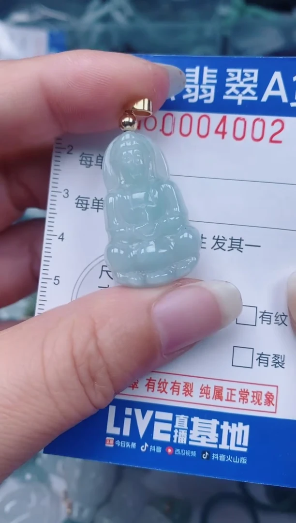 颈饰未镶嵌翡翠00004002