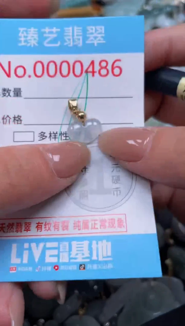 颈饰未镶嵌翡翠486