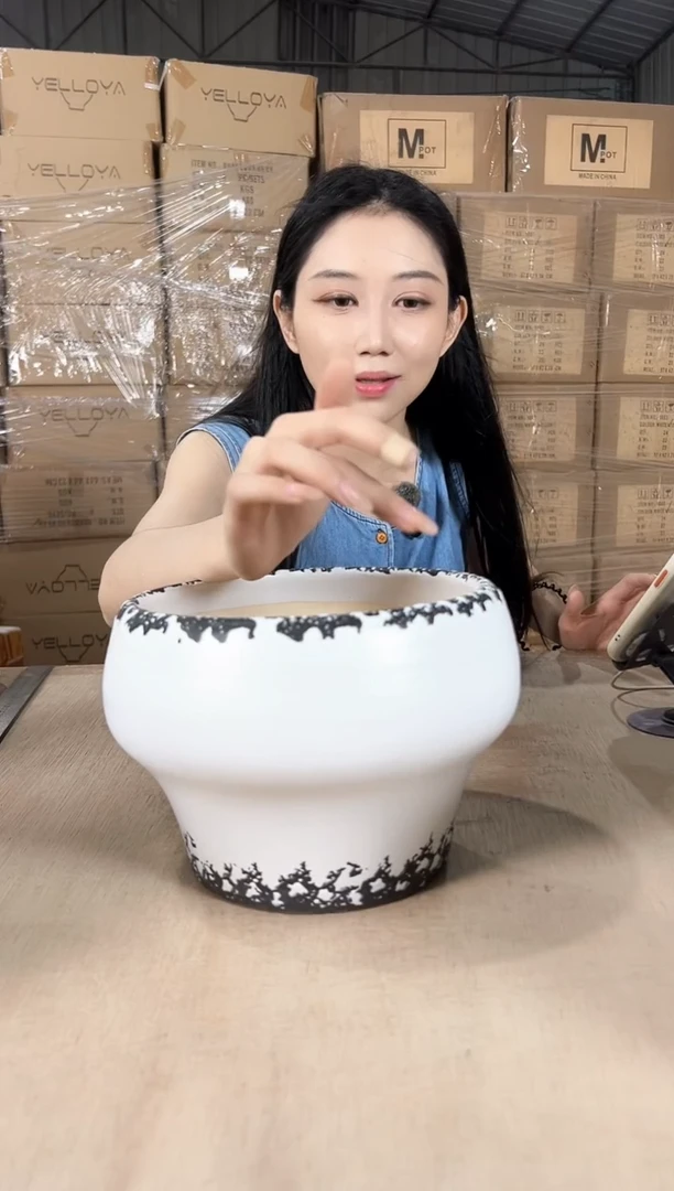 火锅雪花裂纹白小号20x16