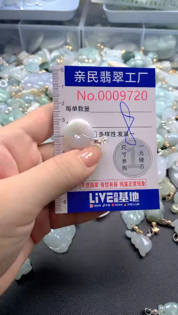 颈饰未镶嵌翡翠9720