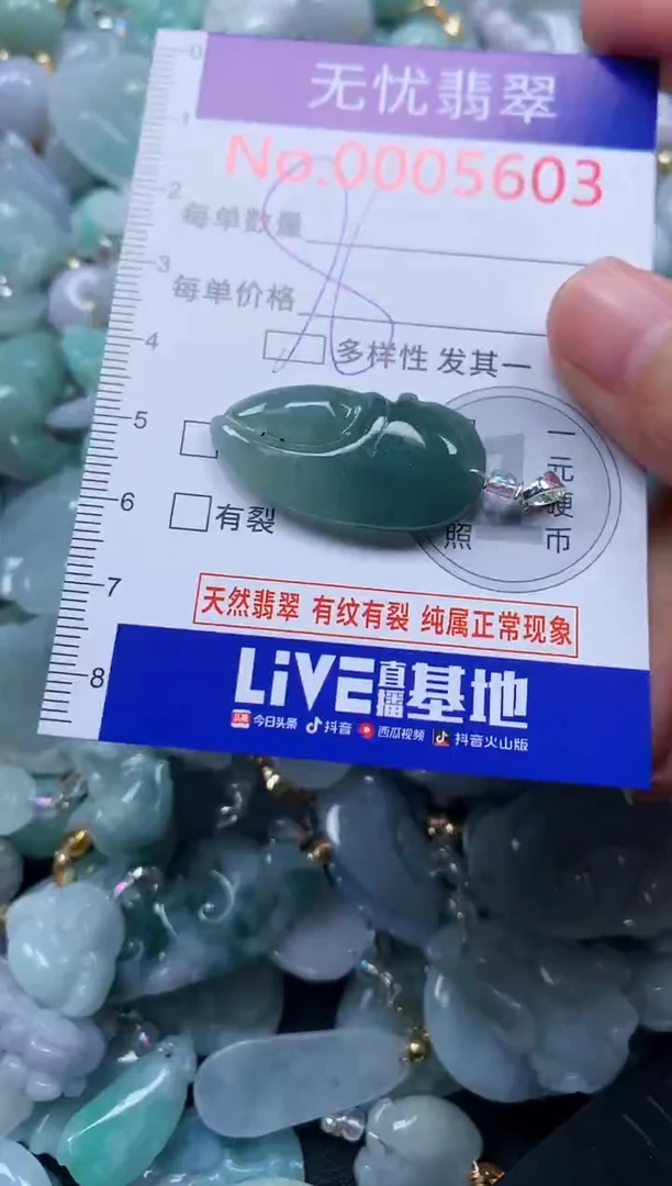 颈饰未镶嵌翡翠5603