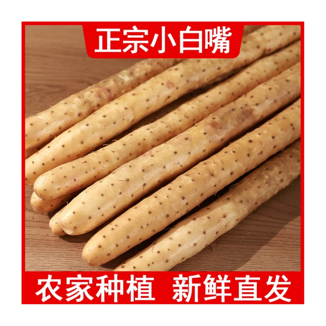 正宗粉糯铁棍山药小白嘴新鲜山药粉糯产地直发淮山药新鲜蔬菜