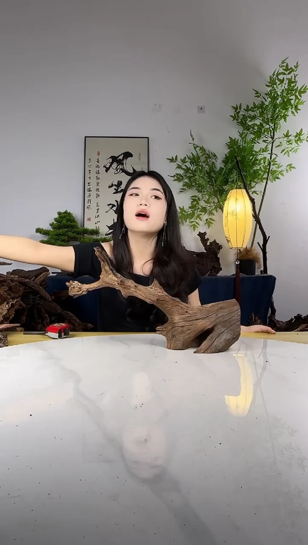 @*望拍这个定向编号23
