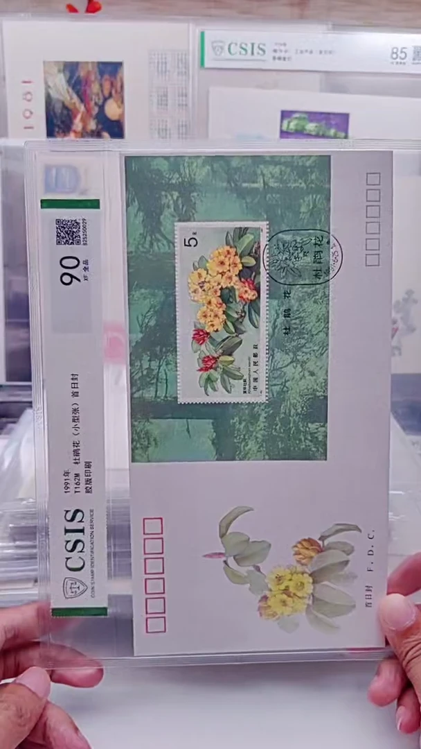 小*杜鹃花    邮票首日封