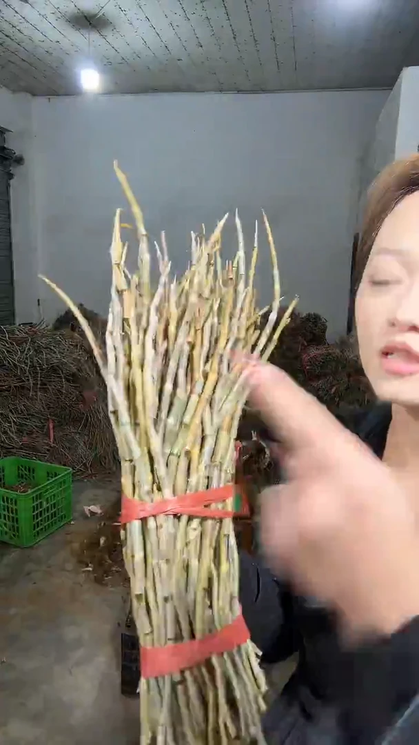 中国大陆新鲜石斛