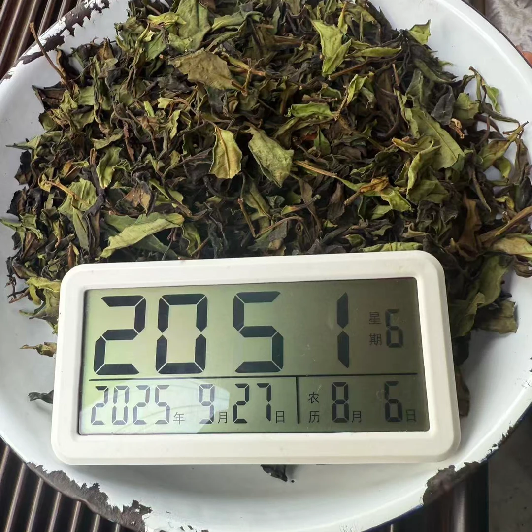 【2151号】老板娘2025年镇康千老妖大树古树混采白茶散料250克9月27