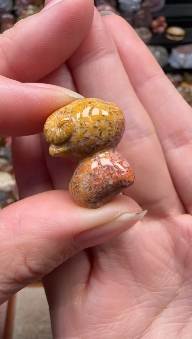 颈饰未镶嵌硅化珊瑚（珊瑚玉）377