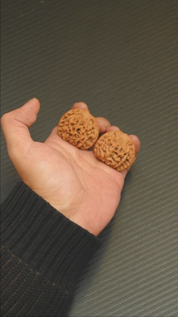2025核桃季精品秦闷36