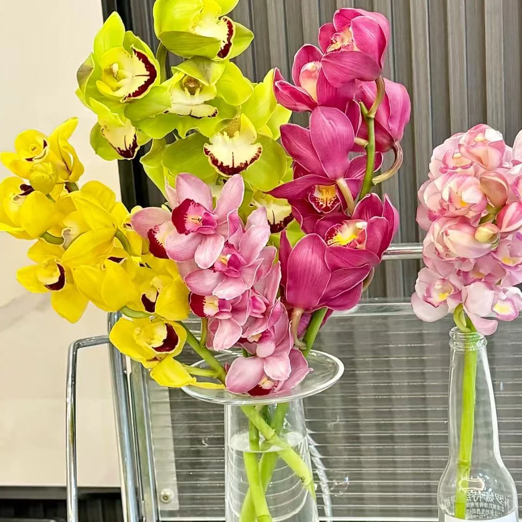 【年宵纳福/不拍保温棉冻坏不售后】不选色蕙兰切枝任意2单以上包邮