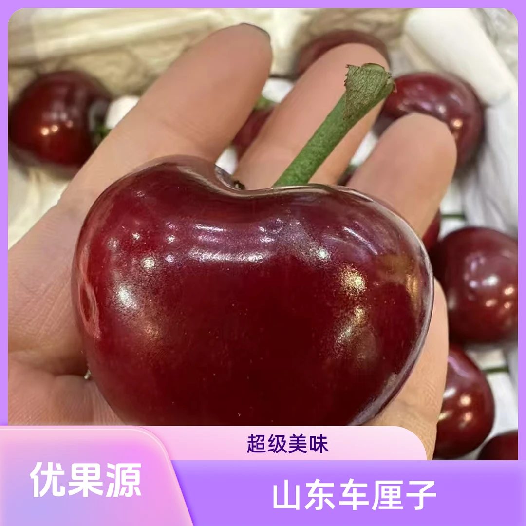 山东车厘子4J（500g）美早