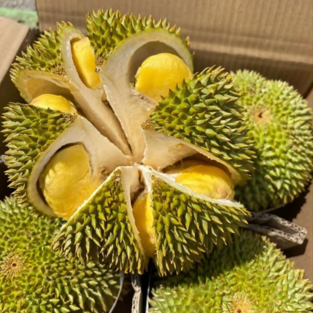 【一物一拍】甲仑鲜榴莲1颗25元1斤（核大，肉小，味浓，介意慎拍）甲仑泰国