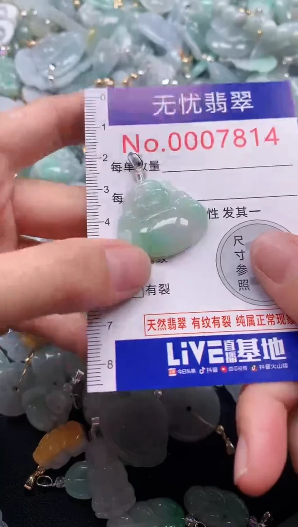 颈饰未镶嵌翡翠7814