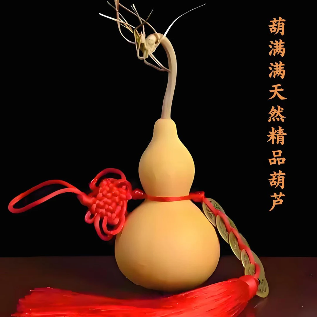 葫满满  葫芦一物一拍直播2号链接